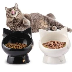Cat Bowl, Raised Cat Food Bowls Anti Vomiting, Handmade Elevated Cat Bowl, Ceramic Pet Food Bowl For Flat-Faced Cats, Small Dogs, Protect Pet's Spine,Dishwasher Safe, Black And White, 2pcs (Bowl-2)