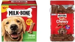 Milk-Bone Original Dog Biscuits, Medium Crunchy Dog Treats, 10 Pound -Zoo Shop 418gdtuwJLL. AC
