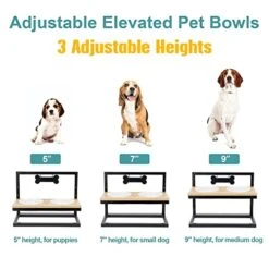 Elevated Dog Bowls Adjustable To 3 Heights With Marker, Antirust Stainless Steel Frame Raise Pet Feeder For Dog, Update Break-Resistant/Safe Melamine Food And Water Bowls, Black - Patented -Zoo Shop 418nP5MeHdL
