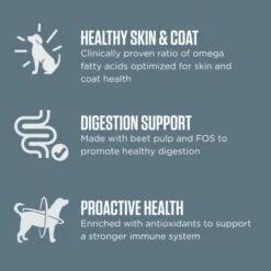 IAMS Advanced Health Skin & Coat Chicken And Salmon Recipe Adult Dry Dog Food, 13.5 Lb. Bag -Zoo Shop 418vp0OifmL