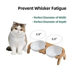 Havniva Ceramics Cat Bowl Adjustable Tilted Cat Food Bowl Kitty Bowl Protect Cervical Spine Raised Cat Bowl Cat Water Bowl Pet Supplies Elevated Dog Food Bowl Cat Double Bowl Cat Dish (Double, White) -Zoo Shop 418yLdhvDsL