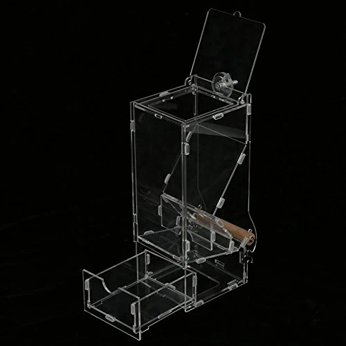 Bird Food Feeder Acrylic Transparent Pet Seeds Automatic Food Feeder Cage Toy (Size : L Single) 7 Bird Food Feeder Acrylic Transparent Pet Seeds Automatic Food Feeder Cage Toy (Size : L Single) - Image 5