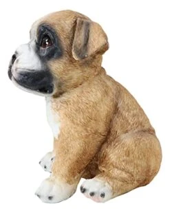 Ebros Gift Realistic Lifelike Fawn Boxer Puppy Dog Sitting Figurine 6.25" Tall Animal Collectible Boxers Pet Pal Pooch Sculpture 9 Ebros Gift Realistic Lifelike Fawn Boxer Puppy Dog Sitting Figurine 6.25" Tall Animal Collectible Boxers Pet Pal Pooch Sculpture -Zoo Shop 419KnIbbYhL