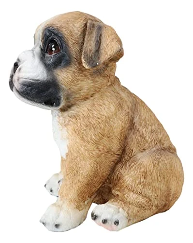 Ebros Gift Realistic Lifelike Fawn Boxer Puppy Dog Sitting Figurine 6.25" Tall Animal Collectible Boxers Pet Pal Pooch Sculpture 5 Ebros Gift Realistic Lifelike Fawn Boxer Puppy Dog Sitting Figurine 6.25" Tall Animal Collectible Boxers Pet Pal Pooch Sculpture - Image 3
