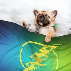 Piece Of Pizza In The Shape Of Lightning Pet Blanket Warm Cozy Soft Mattress Bedspread For Dogs Cats Bed -Zoo Shop 41ADUe6aoAL