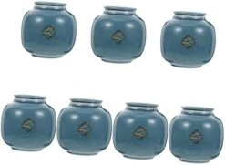 HOMSFOU 5 Pcs Urn Tea Decoration Storage Containers Small Storage Container Round Container With Lid Small Ceramics Urn Pet Memorial Pet Cremation Urns Ceramics Blue Cat Ash Urn Mini -Zoo Shop 41AG57PPnsL. AC