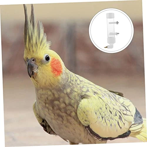 Mipcase 1pc Parrot Drinking Fountain Pet Stuff Outdoor Cage Squirrel Food Automatic Water Drinker Bird Water Bowl Automatic Pigeon Drinkers Automatic Bird Waterer Pet Birds Water Container 4 Mipcase 1pc Parrot Drinking Fountain Pet Stuff Outdoor Cage Squirrel Food Automatic Water Drinker Bird Water Bowl Automatic Pigeon Drinkers Automatic Bird Waterer Pet Birds Water Container - Image 2