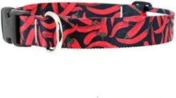 Buttonsmith Pickles Dog Collar - Fadeproof Printing, Military Grade Buckle, Choice Of 6 Sizes, Made In The USA -Zoo Shop 41AfdNGKzqL. AC