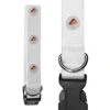 Large 'Sashimi Sushi Illustration Japan Food Cuisine' Dog Collar (PR00039278) 1 Large 'Sashimi Sushi Illustration Japan Food Cuisine' Dog Collar (PR00039278) -Zoo Shop 41BHhn2I49L