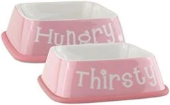 Bone Dry Hungry & Thirsty Pet Bowl, 6.75 X 6.75 X 2, Nautical Blue, 2 Piece -Zoo Shop 41BMOuo7z5L. AC