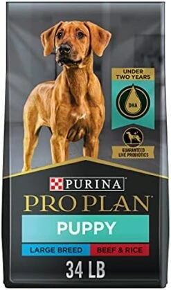 Purina Pro Plan Large Breed Dry Puppy Food, Chicken And Rice Formula - 18 Lb. Bag -Zoo Shop 41BNlLjwUcS. AC