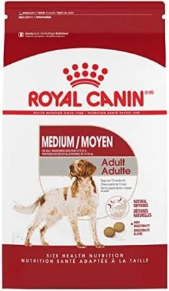Royal Canin Medium Breed Adult Dry Dog Food, 30 Lb Bag 16 Royal Canin Medium Breed Adult Dry Dog Food, 30 Lb Bag -Zoo Shop 41Ba8XfHmpL. AC 1