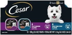 CESAR Adult Soft Wet Dog Food Filets In Gravy Variety Pack, Filet Mignon And New York Strip Flavors, 3.5 Oz. - 12 Trays (1-Pack) -Zoo Shop 41BqrHUNkKL. AC