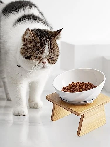 Y YHY Cat Bowl Tilted, Raised Cat Food Water Bowl 6-Inch Ceramic Cat Bowl Elevated Cat Dish With Non-Slip Silicone Circle And Removable Wooden Stands For Indoor Cats, Small Dog 8 Y YHY Cat Bowl Tilted, Raised Cat Food Water Bowl 6-Inch Ceramic Cat Bowl Elevated Cat Dish With Non-Slip Silicone Circle And Removable Wooden Stands For Indoor Cats, Small Dog - Image 6