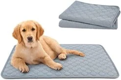 SONGBIRDTH 2Pcs Dog Training Pads Washable Waterproof Dog Pad, Reusable Travel Mats With Anti-Slip Bottom For Puppies Cats Rabbits Khaki M -Zoo Shop 41CvS3M1HS. AC