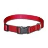 Bravo OmniPet Kwik Klip Adjustable Dog Collar Small Red 2 Bravo OmniPet Kwik Klip Adjustable Dog Collar Small Red -Zoo Shop 41D7ck9ujoL