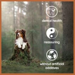 Wildfang® Olive Wood - Chewing Stick For Dogs, 100% Natural Dog Toy, Dental Care & Training… -Zoo Shop 41DCQF2BMRL