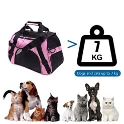 LEFEDA Pet Carrier Cat Portable Breathable Foldable Bag Cat Dog Carrying For Small Dog Outgoing Travel Pets Handbag With Shoulder Strap Pet Backpack Carrier (Color : Purple, Size : 44x26x21 (pet 2.5 -Zoo Shop 41DLo01nIQL
