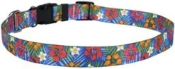 Yellow Dog Design Pineapples Blue Dog Collar, Large-1" Wide Fits Neck Sizes 18 To 28", (PNBL106) -Zoo Shop 41DTAi1S01L. AC