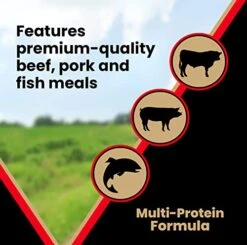 Victor Super Premium Dog Food – Grain Free Active Dog & Puppy – Dry Dog Food With 33% Protein, Gluten Free - For High Energy Dogs, 30lbs -Zoo Shop 41DVI1lXLgL