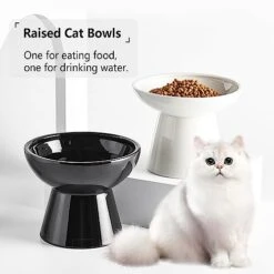 Elevated Raised Cat Food Bowls, Victob 2 Whisker Fatigue Cat Bowl For Food And Water, 6.2 Inch Ceramic Raised Cat Food Bowls Whisker Friendly For Pet Easy Eating, Lead & Cadmium Free, Dishwasher 15 Elevated Raised Cat Food Bowls, Victob 2 Whisker Fatigue Cat Bowl For Food And Water, 6.2 Inch Ceramic Raised Cat Food Bowls Whisker Friendly For Pet Easy Eating, Lead & Cadmium Free, Dishwasher -Zoo Shop 41DmKq6UYBL