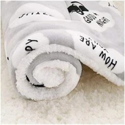 YangYan Fleece Cat Bed Mat Pet Bed Mat New Pet Soft Dog Cat Blanket Winter Foldable Pet Cushion Soft Warm Sleep Mat Cat Supplies (Color : Gray, Size : 35x50cm) -Zoo Shop 41DwVzXLb8L. AC 1