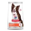 Hill's Science Diet Dry Dog Food, Adult, Perfect Digestion, Chicken, Brown Rice, & Whole Oats Recipe, 3.5 Lb. Bag