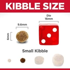 Hill's Science Diet Adult 7+ Small Bites Chicken Meal, Barley & Brown Rice Recipe Dry Dog Food, 15 Lb. Bag -Zoo Shop 41EEqoCscUL 1