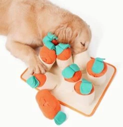 FOSSA Dog Snuffle Mat, Puppy Toys Feeding Mat With 8 Carrots Plush Dog Treat Puzzle Toys (Small) -Zoo Shop 41EPLwbnqAL. AC