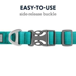 Ruffwear, Front Range Dog Collar, Durable And Comfortable Collar For Everyday Use, Aurora Teal, 11"-14" -Zoo Shop 41F1JC3a9PL