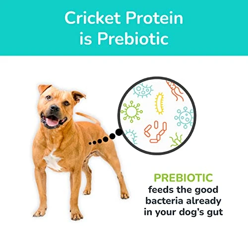 Jiminy's Dry Dog Food - Hypoallergenic Dog Food, 100% Made In The USA, Gluten-Free, Sustainable, Sensitive Stomach Dog Food, High Protein - Cravin' Cricket Insect Protein Oven-Baked Dog Food 10 Lb Bag 5 Jiminy's Dry Dog Food - Hypoallergenic Dog Food, 100% Made In The USA, Gluten-Free, Sustainable, Sensitive Stomach Dog Food, High Protein - Cravin' Cricket Insect Protein Oven-Baked Dog Food 10 Lb Bag - Image 3