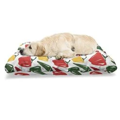 Ambesonne Peppers Pet Bed, Mexican Food Ingredients Farmland Produce Hand Drawn Arrangement Organic Peppers, Chew Resistant Pad For Dogs And Cats Cushion With Removable Cover, 24" X 39", Multicolor