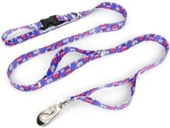 Buttonsmith Pickles Dog Collar - Fadeproof Printing, Military Grade Buckle, Choice Of 6 Sizes, Made In The USA -Zoo Shop 41FkLt0G28L. AC