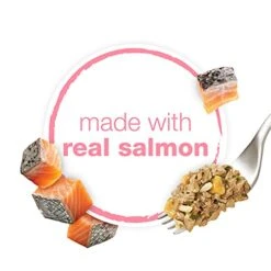 Purina Beneful Gravy, High Protein Wet Dog Food, Chopped Blends With Salmon - (8) 10 Oz. Tubs -Zoo Shop 41G49AMJgmS