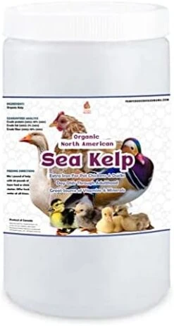 Pampered Chicken Mama Organic Chicken Kelp: Chicken Vitamins Supplement & Duck Feed Supplement 1LB -Zoo Shop 41G7h7nH7XL. AC 1