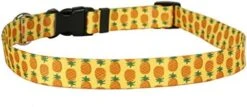 Yellow Dog Design Pineapples Blue Dog Collar, Large-1" Wide Fits Neck Sizes 18 To 28", (PNBL106) -Zoo Shop 41GLhPjQ2LL. AC