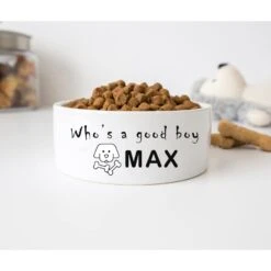 GENERIC Personalized Who's A Good Boy Pet Bowl, Ceramic Bowl For Dog, Dogs Drinking Bowl, Gift For Pets, Available In Two Sizes