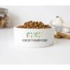 GENERIC Doesn't Share Food Customized Pet Name Bowl, Ceramic Food Bowl For Pets Available In Two Sizes, Dog Bowls, Cat Drinking Bowls -Zoo Shop 41GZ9m0MjBL