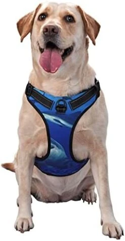 Dog Harness Leash Set Durable Oxford Breathable Reflective Puppy Harness Vest Spaghetti Italian Food For Walking Training Running, No Pull No Choke Pet Dog Harness -Zoo Shop 41GcYQT4gWL. AC 1