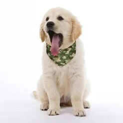 GENERIC Armys Camouflage Pattern Dog Bandana,Dog Bandanas Triangle Bibs Scarf Accessories Minimal Head Cicumference -Zoo Shop 41GinDMsKML