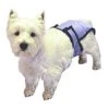 PoochPad X-Large PoochPant Diaper -Zoo Shop 41H4zmT3WAL