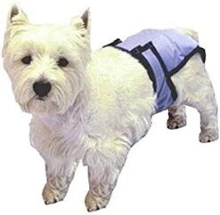 PoochPad X-Large PoochPant Diaper -Zoo Shop 41H4zmT3WAL. AC 4