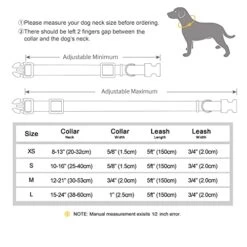 Beirui Cute Girl Dog Collar And Leash Set For Female Dogs- Floral Dog Collar With Flower For Small Medium Large Dogs Puppy, M:Neck 13-21", Leash 5FT, Purple-1 -Zoo Shop 41H6bnbnJ3L