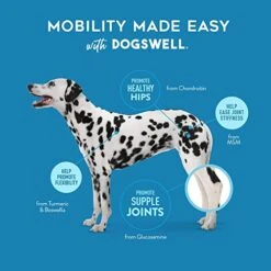 DOGSWELL Hip And Joint Supplement For Dogs - Soft Chews With Glucosamine, Chondroitin, MSM, Boswellia & Turmeric, 1 Pound -Zoo Shop 41H6rP1flAL