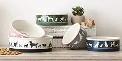 Bone Dry Ceramic Pet Silhouette Collection, Small Set, 4.25x2, Navy, Cat's Meow, 2 Piece (Pack Of 2) -Zoo Shop 41H7Nh2tSVL