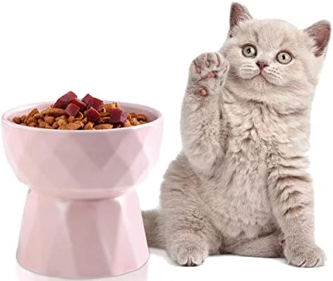 Jemirry Ceramic Raised Cat Bowl Anti Vomiting, Elevated Cat Bowls With 15° Tilt Angle, Non-Slip Food And Water Bowls For Cat And Dog, Protect Pet's Spine, Dishwasher Safe (Pink) 9 Jemirry Ceramic Raised Cat Bowl Anti Vomiting, Elevated Cat Bowls With 15° Tilt Angle, Non-Slip Food And Water Bowls For Cat And Dog, Protect Pet's Spine, Dishwasher Safe (Pink) - Image 7