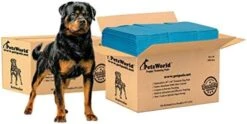 PETSWORLD Extra Large Potty Pads For Dogs, Odor Eliminating 30" X 36", 300 Count Pee Pads For Pets, Gigantic XL Dog Pads, 5 Layer Ultra Absorbent Technology, Leak Proof Training Pads For Dogs & Cats -Zoo Shop 41HiBu6lHlL. AC