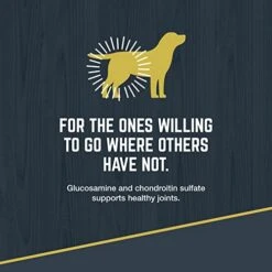 Black Gold Explorer Dry Dog Food For Adult Dogs, Original Performance 26/18 Formula, 15 Lb Bag -Zoo Shop 41HinGLWRiL