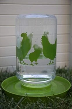 New Age Pet 7 Piece Chicken Accessory Kit 11 New Age Pet 7 Piece Chicken Accessory Kit -Zoo Shop 41IbOo1vYUL