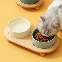 Havniva Ceramic Elevated Cat Food And Water Bowl , Kitty Bowl , Raised Cat Dish , Cat Feeder (2 X Cream White + Stand) -Zoo Shop 41IfAPPer3L